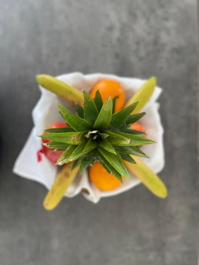 Au Perchoir Leilighet Caunes-Minervois Eksteriør bilde